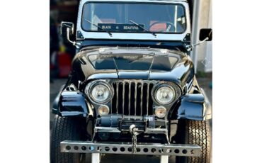 Jeep-Cj7-1981-Black-Black-18