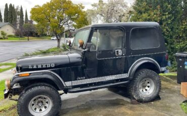 Jeep-Cj7-1981-True-Black