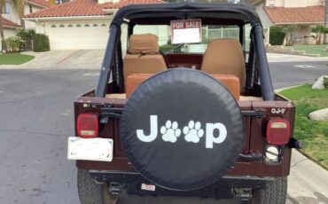 Jeep-Cj7-1984-Brown-1