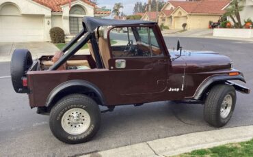 Jeep-Cj7-1984-Brown-3