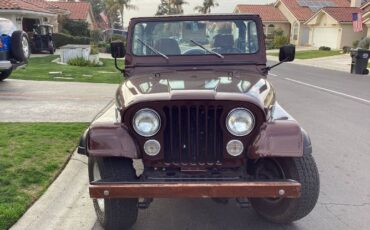 Jeep-Cj7-1984-Brown-4