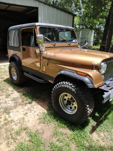 Jeep-Cj7-1986-Dark-Honey-8