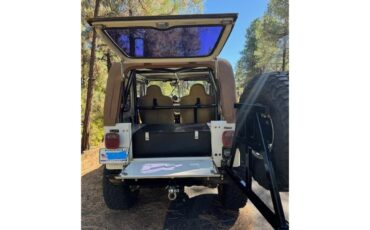 Jeep-Cj7-1986-White-and-Brown-White-and-Brown-7