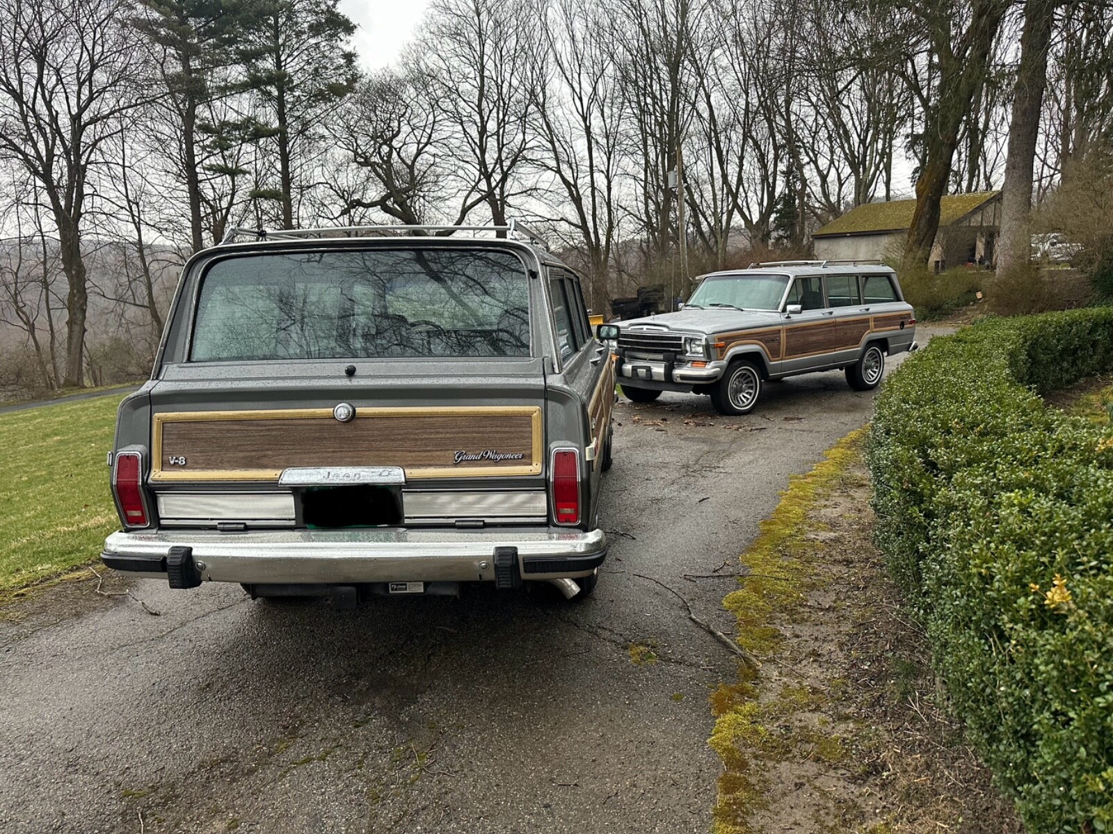Jeep-Grand-Wagoneer-1990-Wagon-18