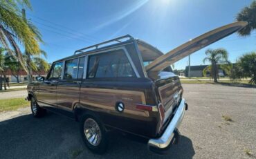 Jeep-Grand-wagoneer-1985-Brown-Beige-17