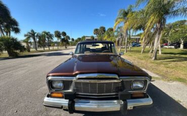 Jeep-Grand-wagoneer-1985-Brown-Beige-23
