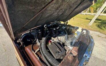 Jeep-Grand-wagoneer-1985-Brown-Beige-3