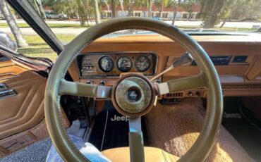 Jeep-Grand-wagoneer-1985-Brown-Beige-7