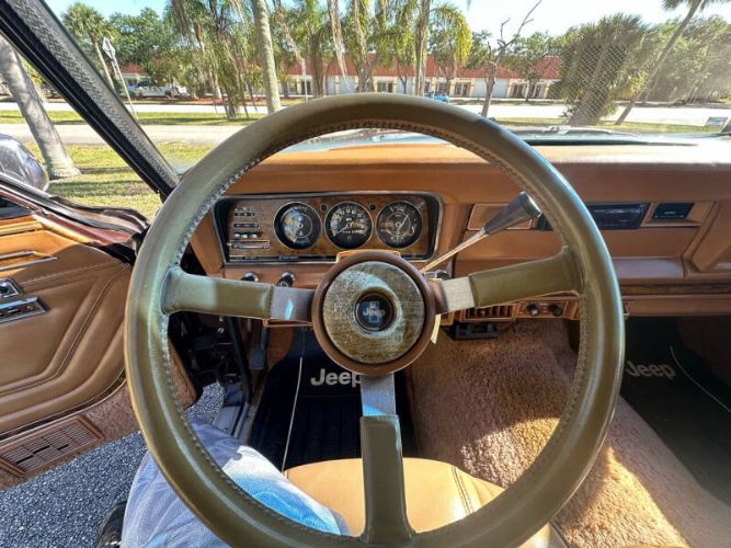 Jeep-Grand-wagoneer-1985-Brown-Beige-7