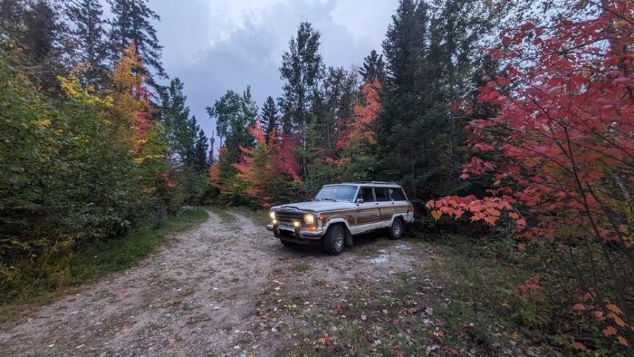 Jeep-Grand-wagoneer-1986-White-Red