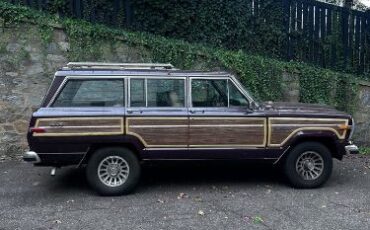 Jeep-Grand-wagoneer-1988-4