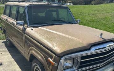 Jeep-Grand-wagoneer-1988-Brown-12