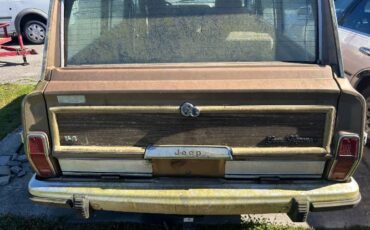 Jeep-Grand-wagoneer-1988-Brown-3