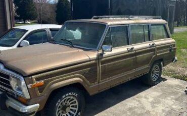 Jeep-Grand-wagoneer-1988-Brown