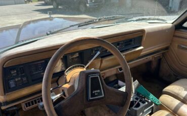 Jeep-Grand-wagoneer-1988-Brown-5