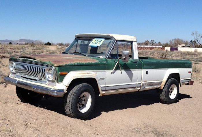 Jeep-Other-1973-Green-14