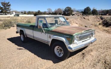 Jeep-Other-1973-Green
