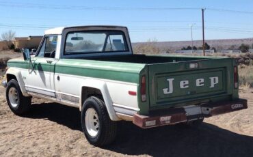 Jeep-Other-1973-Green-9