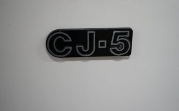 Jeep-Other-1974-White-Black-10