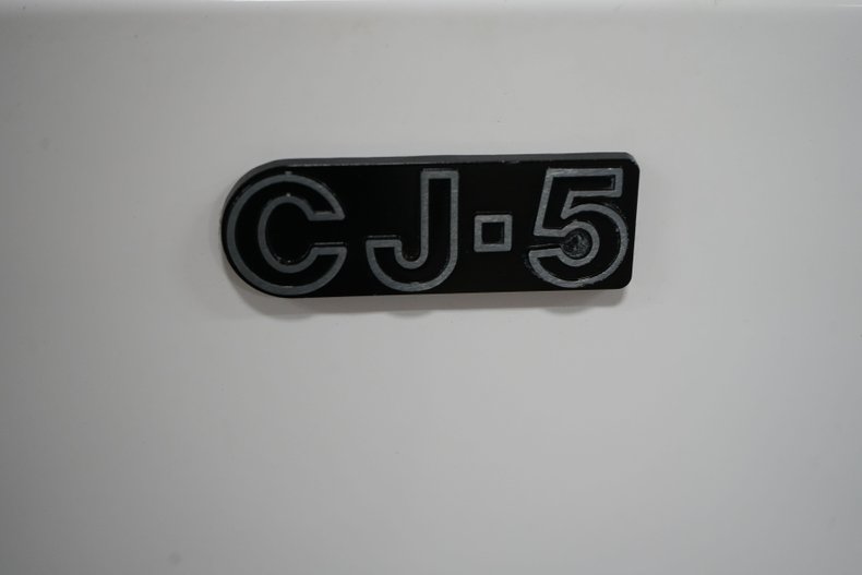 Jeep-Other-1974-White-Black-10