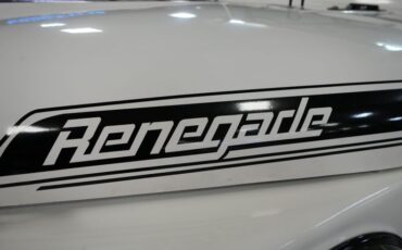 Jeep-Other-1974-White-Black-13