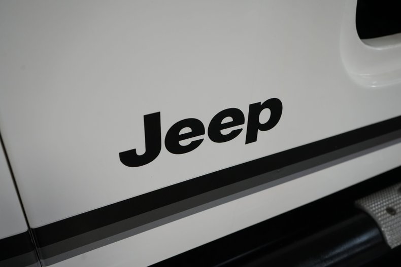 Jeep-Other-1974-White-Black-14