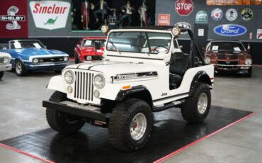 Jeep-Other-1974-White-Black-28
