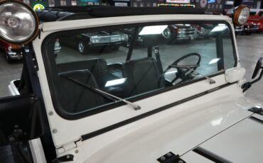 Jeep-Other-1974-White-Black-3