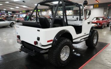 Jeep-Other-1974-White-Black-4