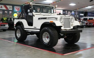 Jeep-Other-1974-White-Black-41