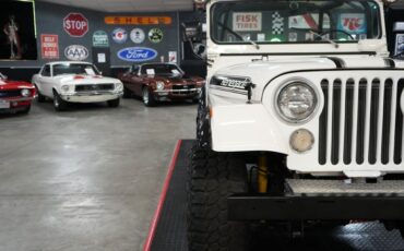 Jeep-Other-1974-White-Black-45