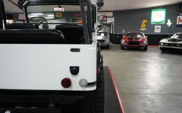 Jeep-Other-1974-White-Black-5