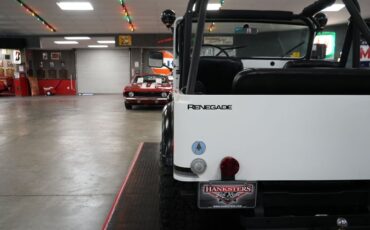Jeep-Other-1974-White-Black-6
