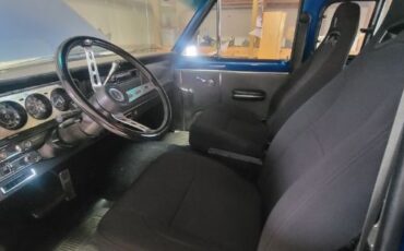 Jeep-Other-1977-7