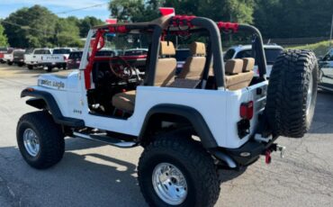 Jeep-Other-1978-White-Brown-15