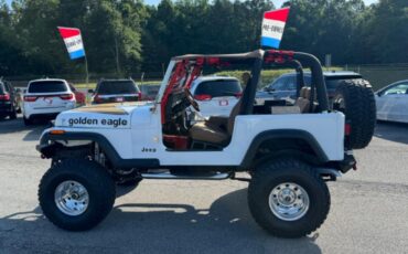 Jeep-Other-1978-White-Brown-21
