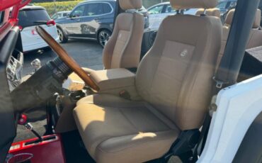 Jeep-Other-1978-White-Brown-3