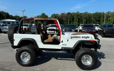 Jeep-Other-1978-White-Brown-44