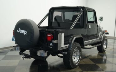 Jeep-Other-1981-Black-Black-12
