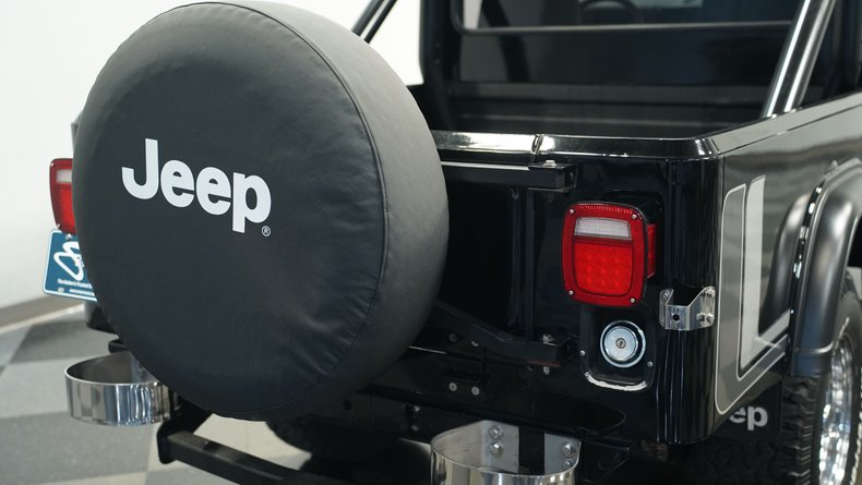 Jeep-Other-1981-Black-Black-24