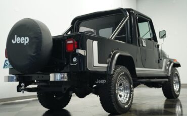 Jeep-Other-1981-Black-Black-25