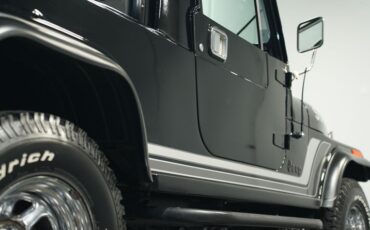 Jeep-Other-1981-Black-Black-26