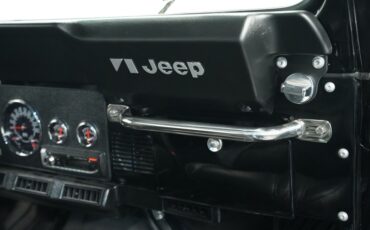 Jeep-Other-1982-Black-Black-47