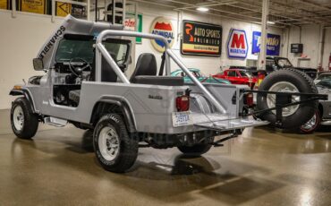 Jeep-Other-1983-Silver-Black-1