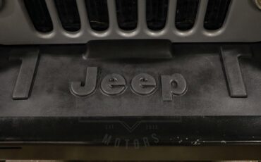 Jeep-Other-1983-Silver-Black-10
