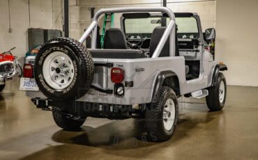 Jeep-Other-1983-Silver-Black-11