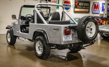 Jeep-Other-1983-Silver-Black-17