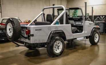 Jeep-Other-1983-Silver-Black-18