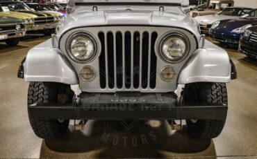 Jeep-Other-1983-Silver-Black-24