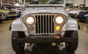 Jeep-Other-1983-Silver-Black-25